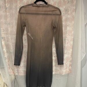 Chic Long Sleeve Sheer Dress